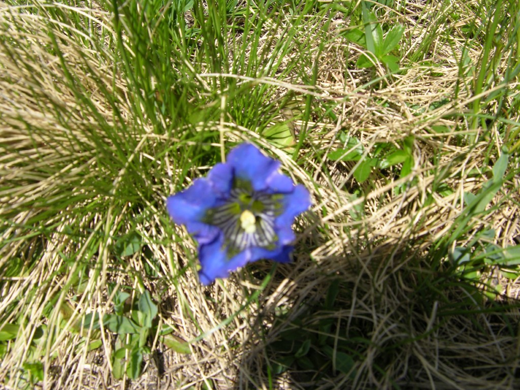 dscn2494.jpg