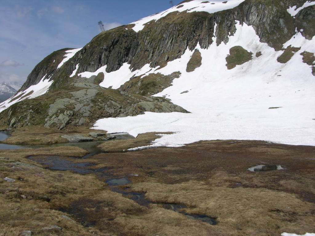 dscn2495.jpg