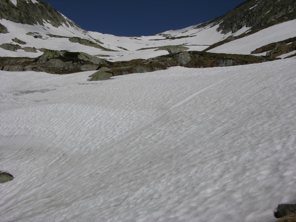 dscn2496.jpg