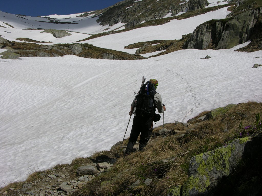 dscn2497.jpg