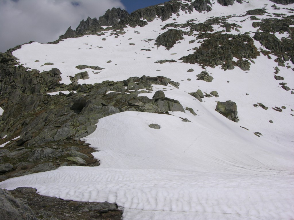 dscn2499.jpg