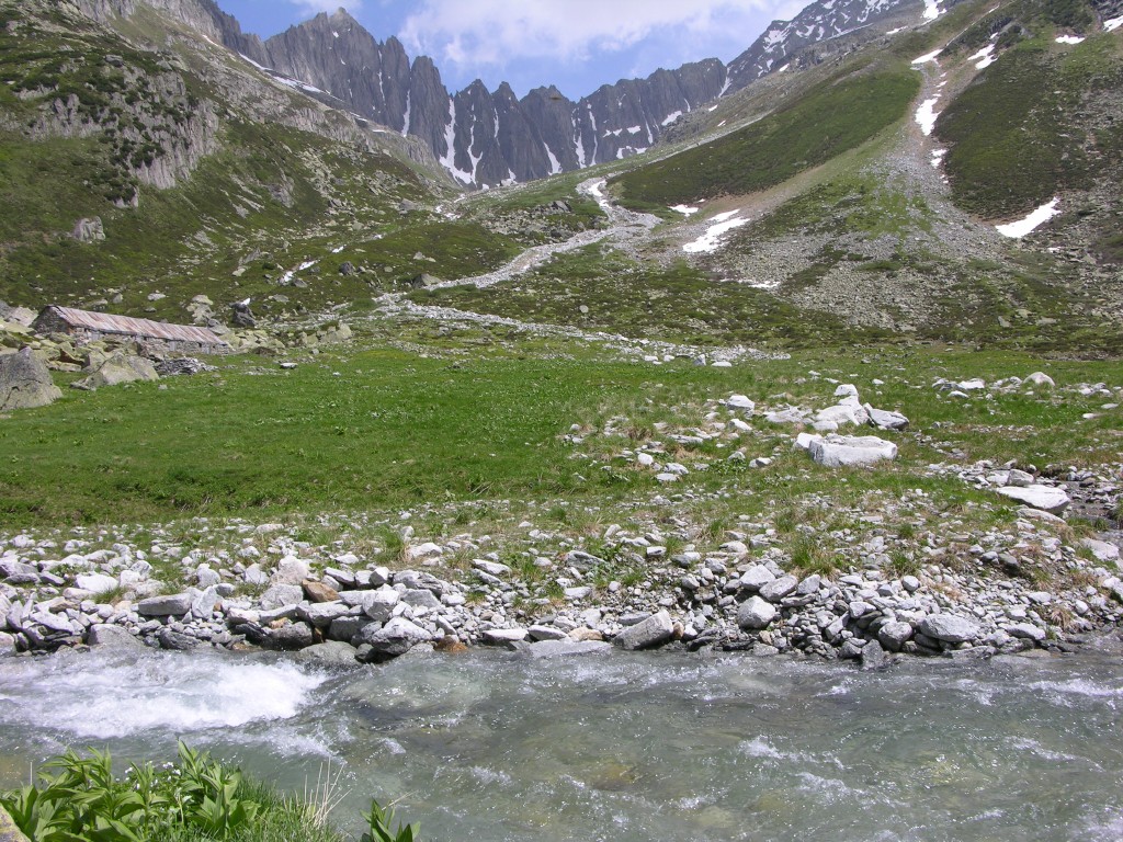 dscn2501.jpg