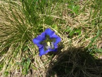 dscn2494.jpg