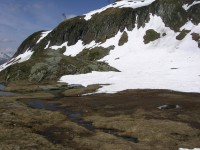 dscn2495.jpg