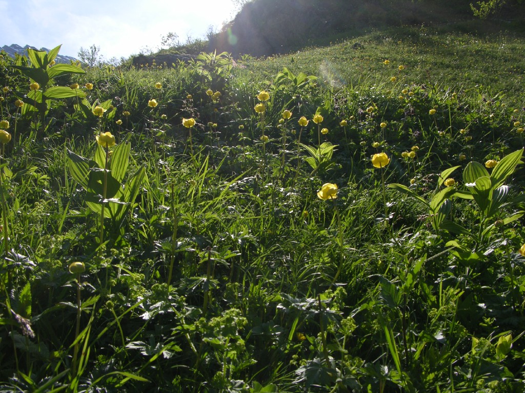 dscn2473.jpg
