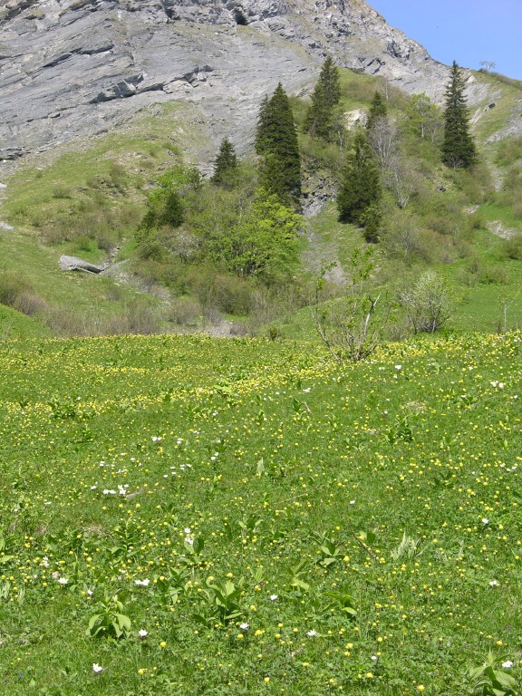 dscn2475.jpg