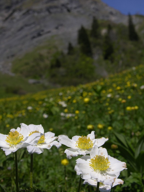 dscn2476.jpg