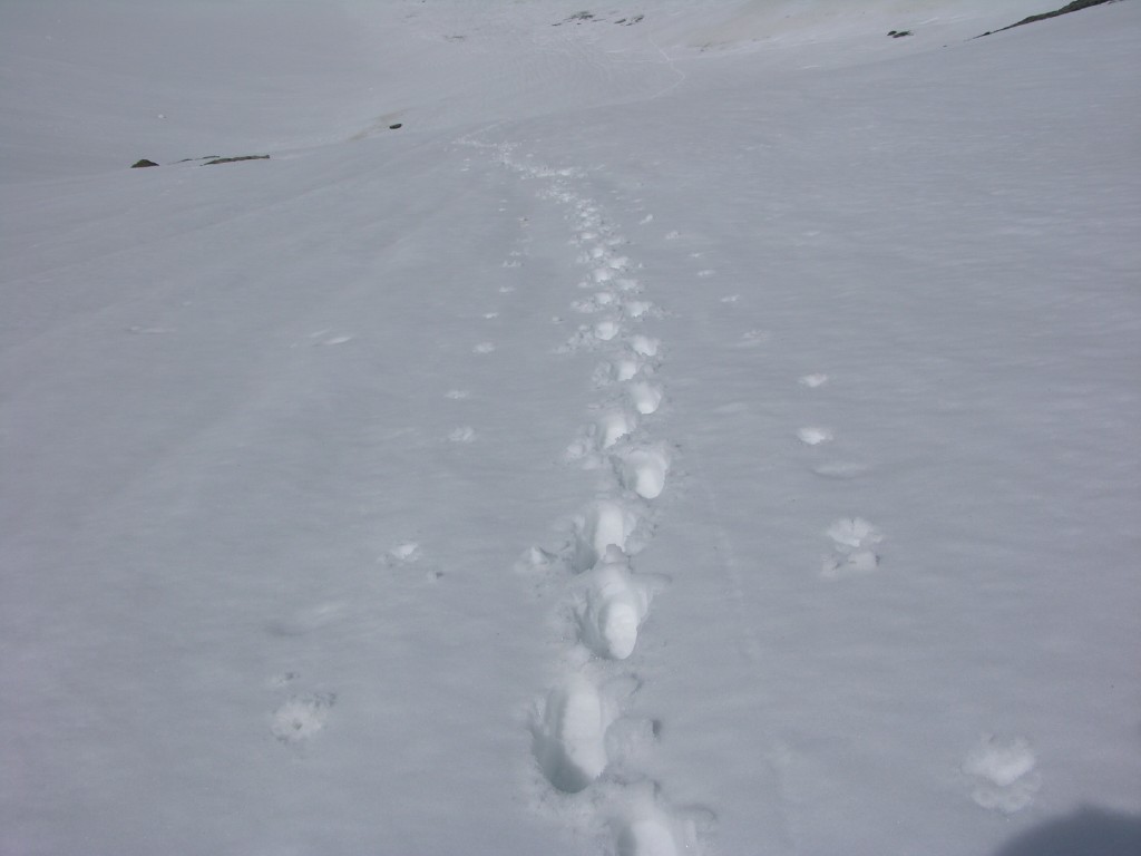 dscn2478.jpg