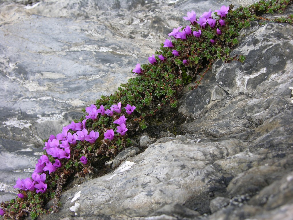 dscn2480.jpg