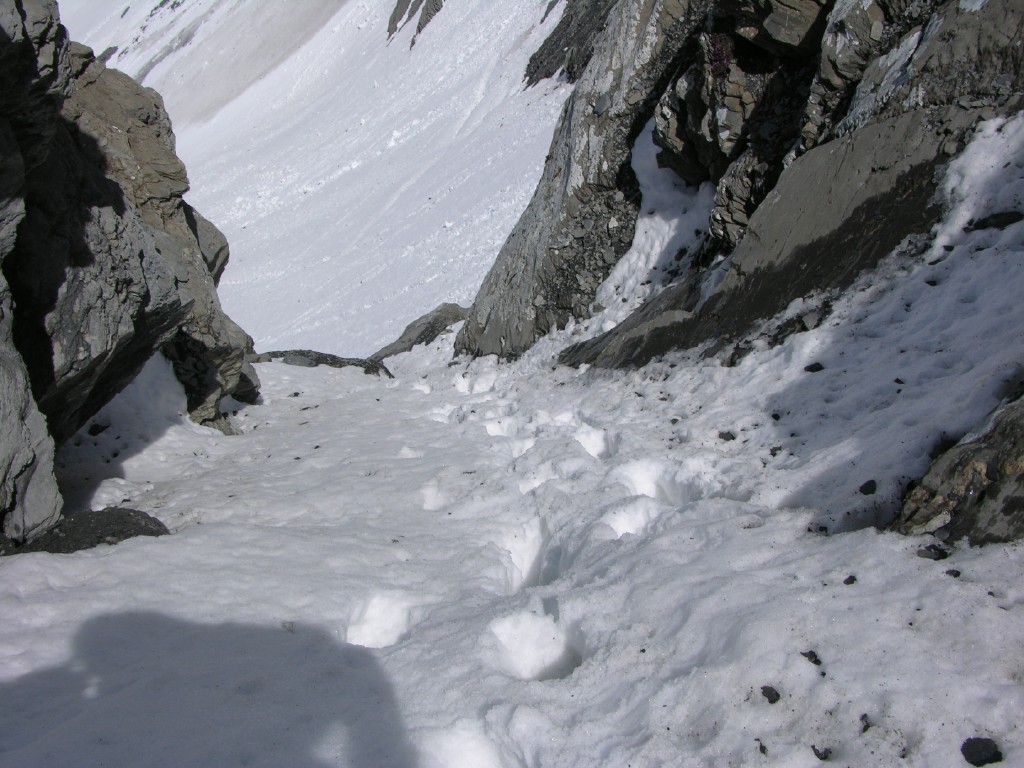 dscn2484.jpg