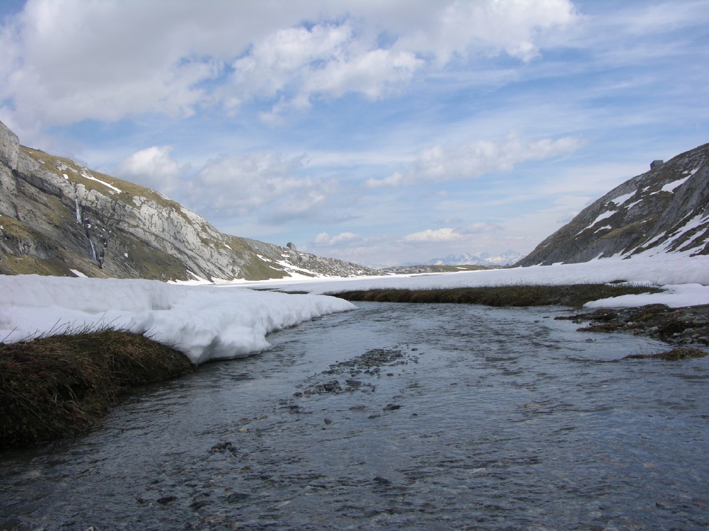 dscn2489.jpg