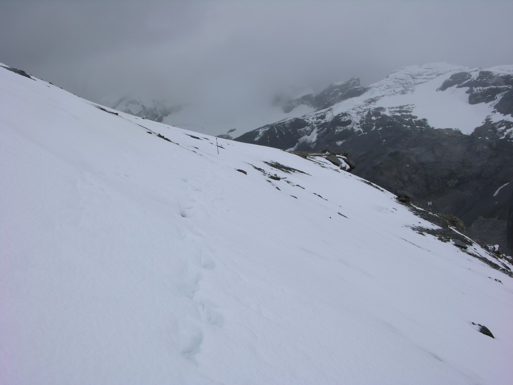 dscn2754.jpg