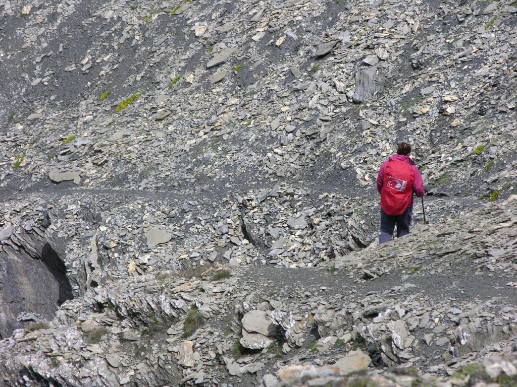 dscn2762.jpg