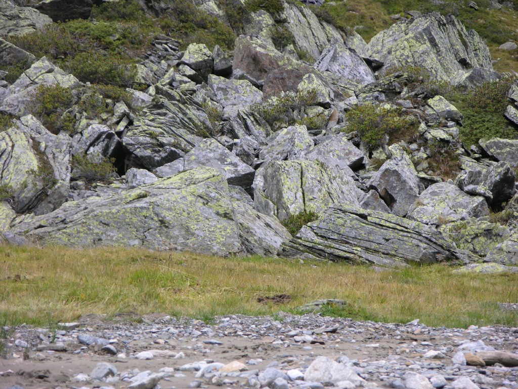 dscn2836.jpg