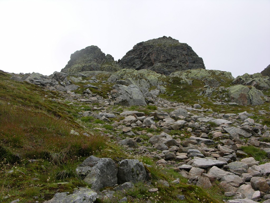 dscn2841.jpg