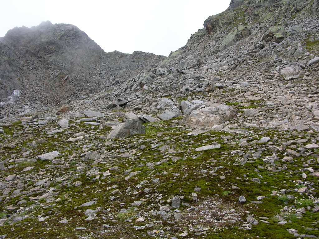 dscn2844.jpg