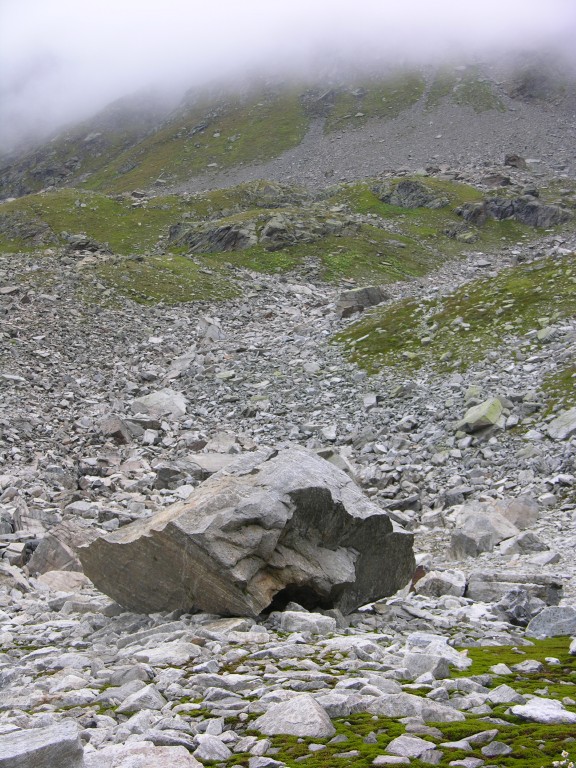 dscn2849.jpg