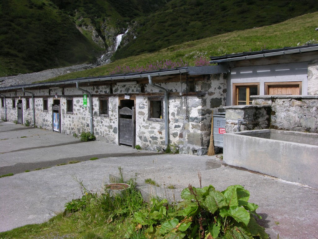 dscn2850.jpg