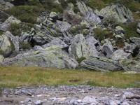 dscn2836.jpg