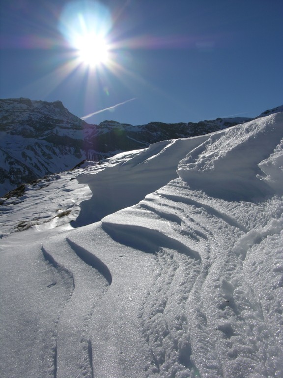 dscn2298.jpg