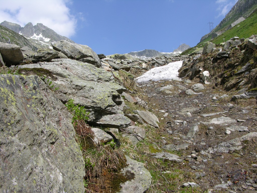dscn2509.jpg
