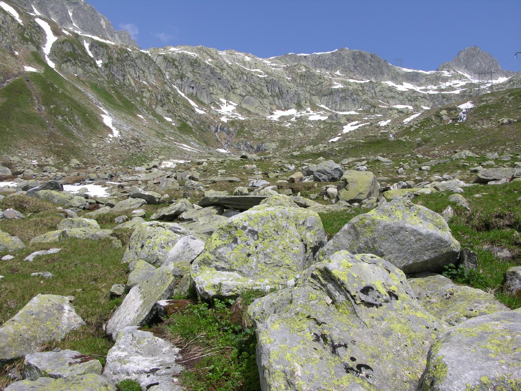 dscn2513.jpg