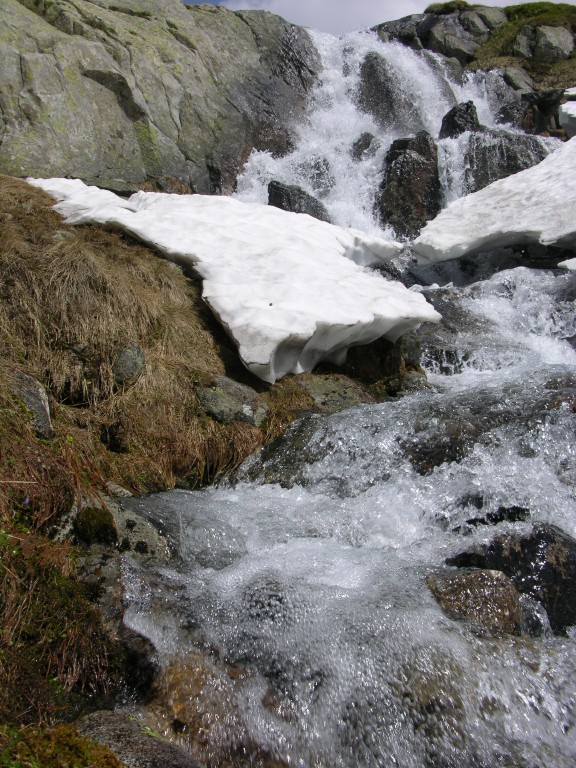 dscn2516.jpg