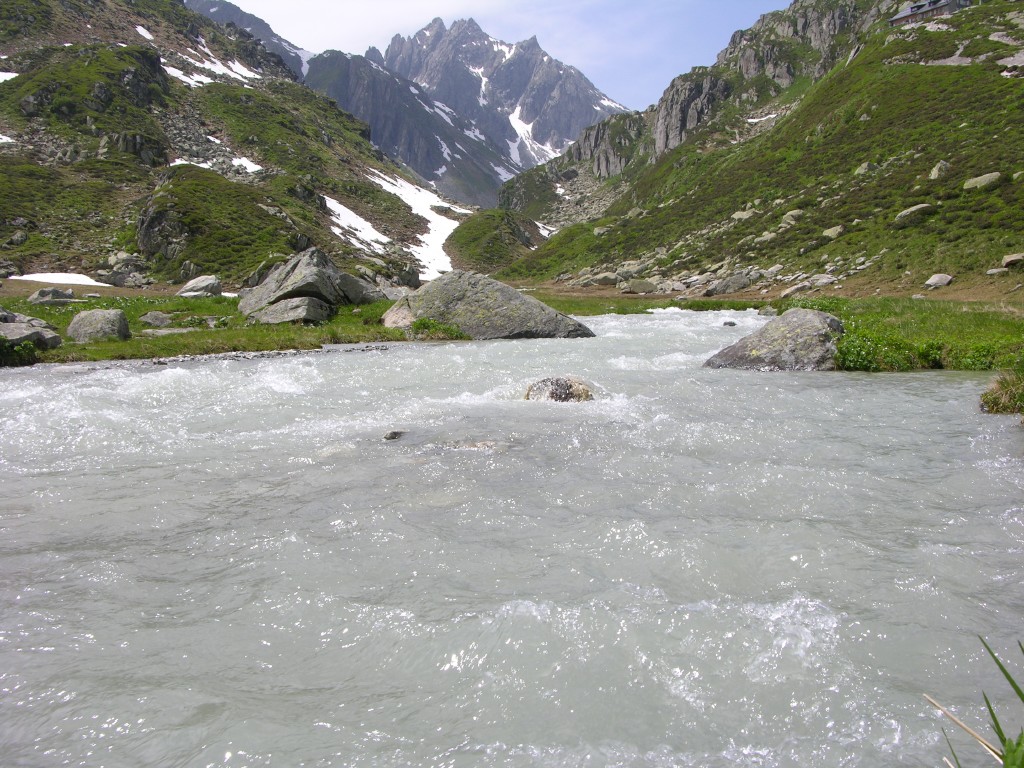 dscn2520.jpg