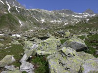 dscn2513.jpg