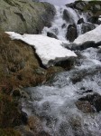 dscn2516.jpg