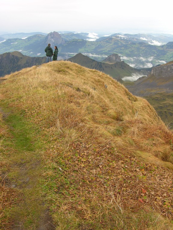 014_horizont.jpg