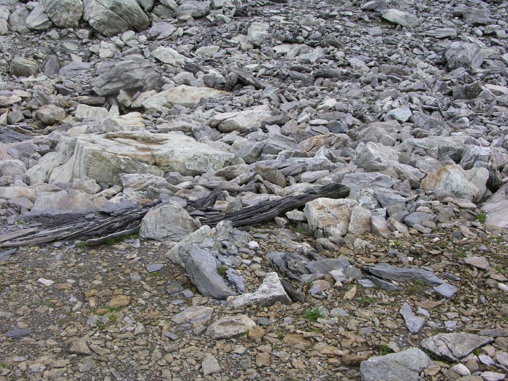 dscn2642.jpg