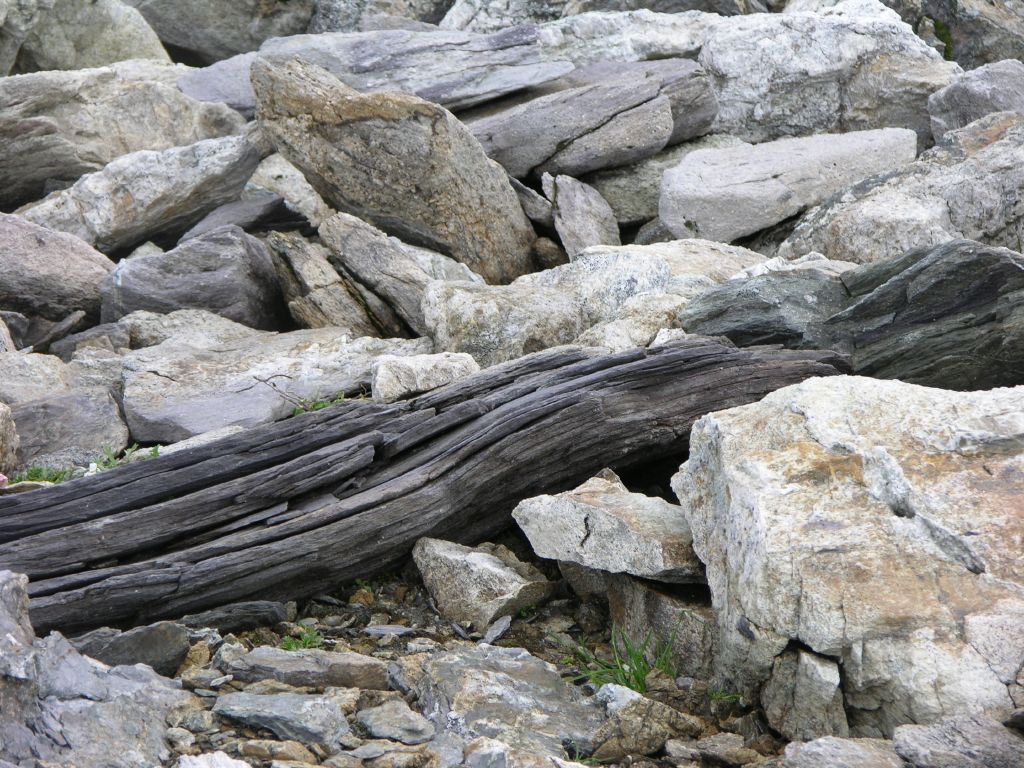 dscn2643.jpg