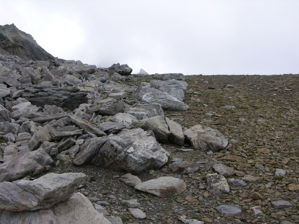 dscn2645.jpg