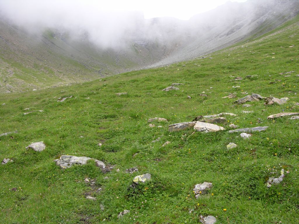 dscn2652.jpg