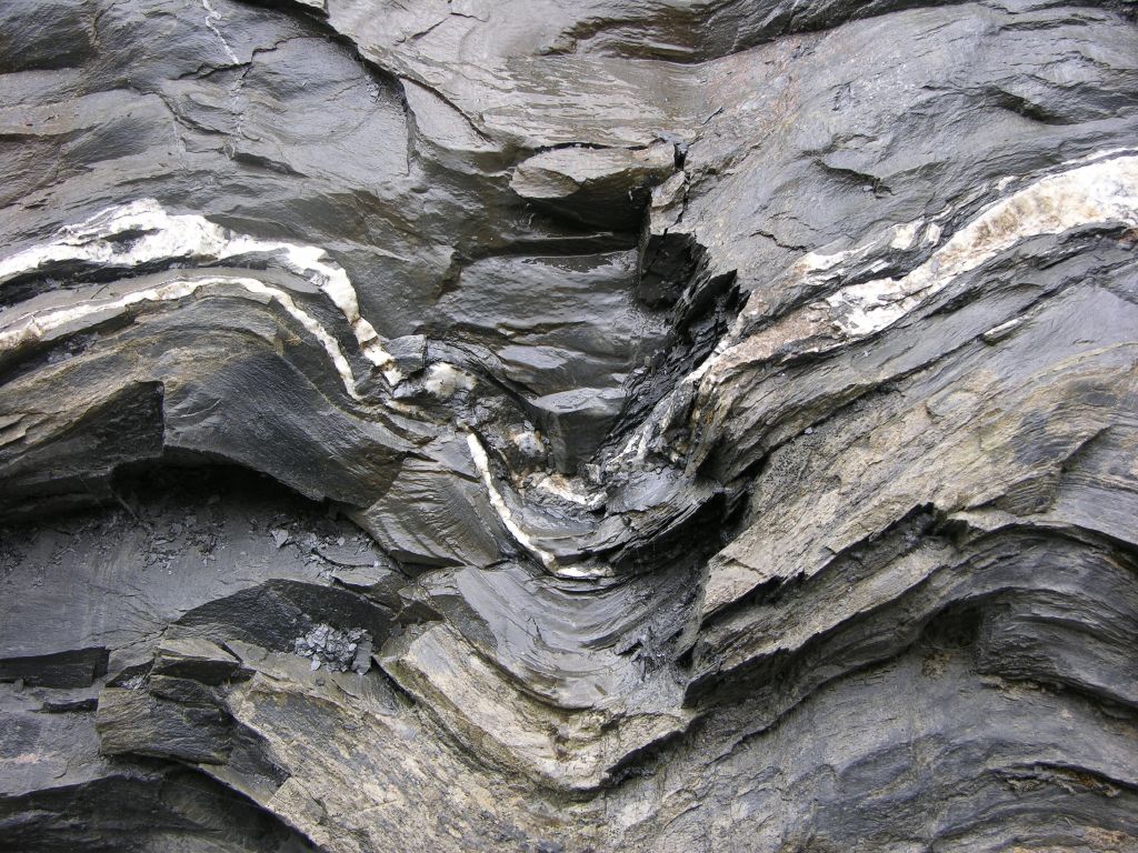 dscn2656.jpg