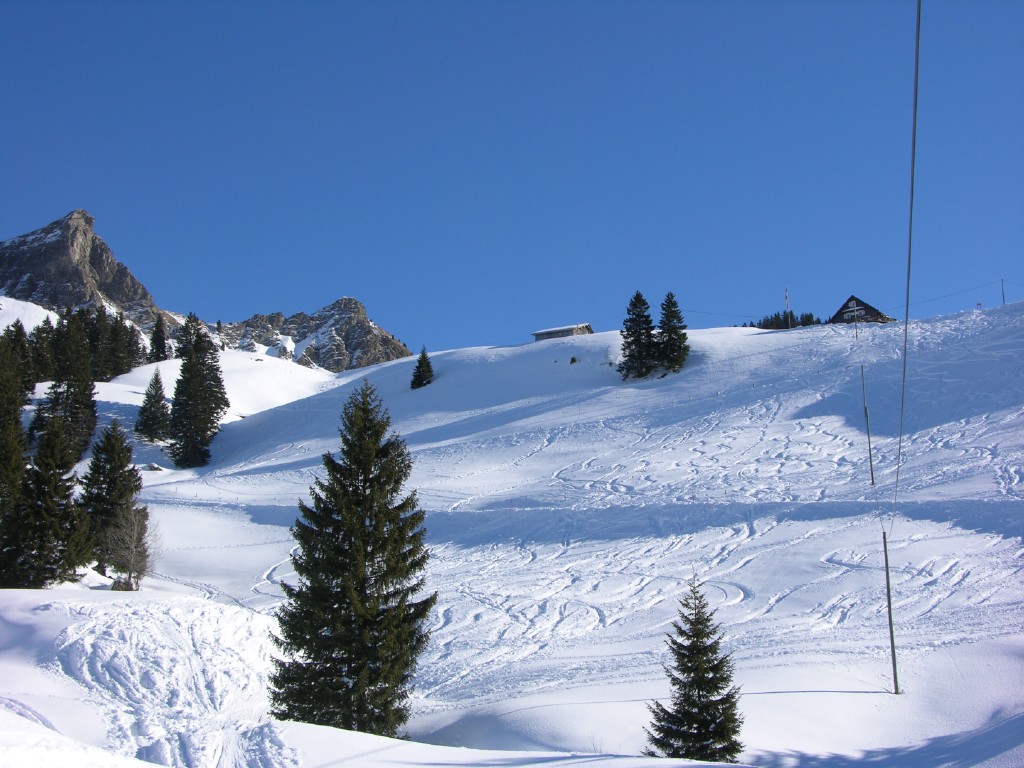 dscn2347.jpg