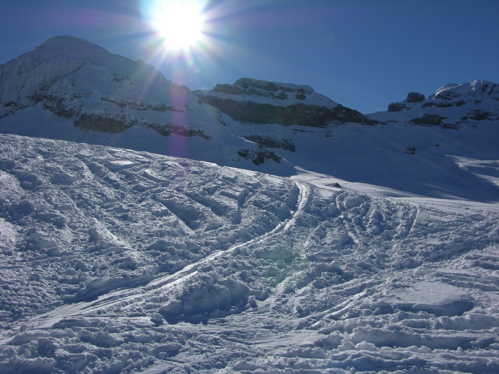 dscn2350.jpg