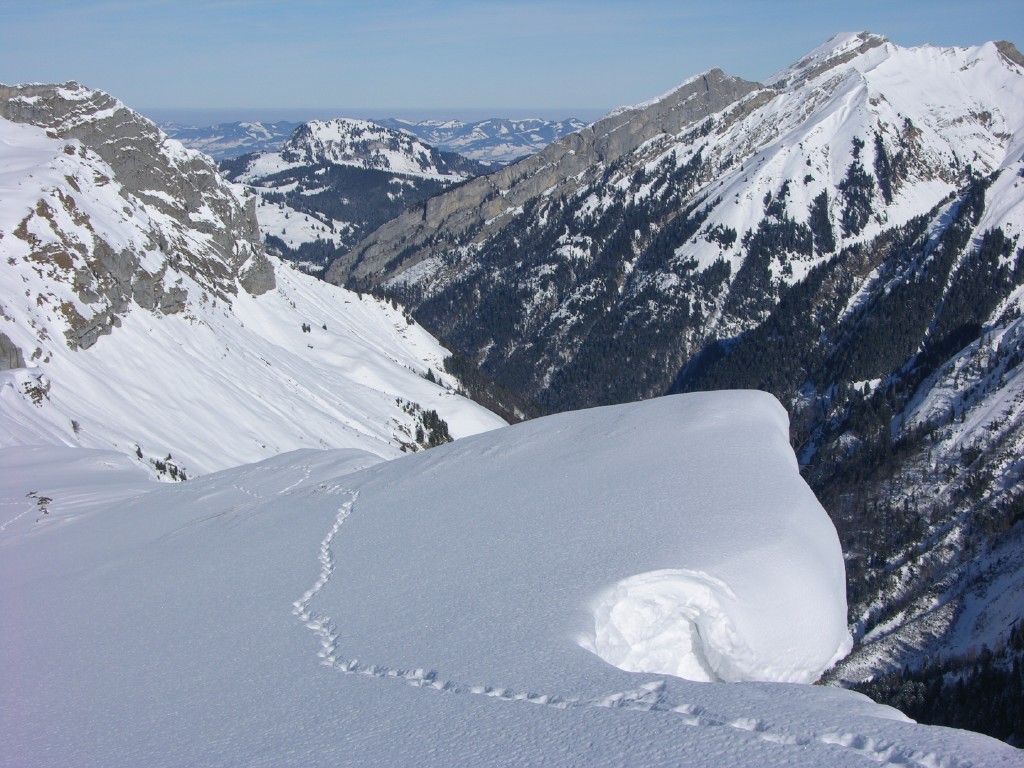 dscn2355.jpg