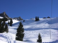 dscn2347.jpg