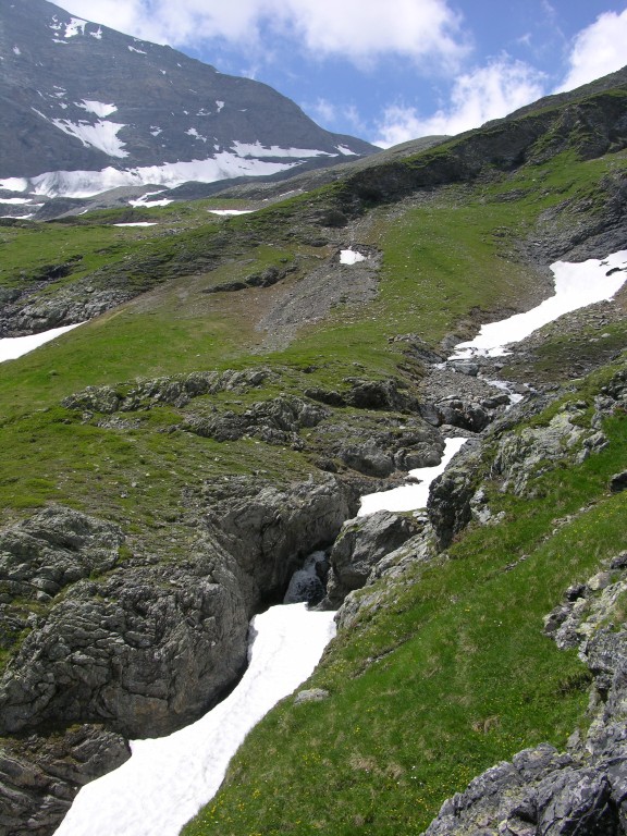 dscn2528.jpg