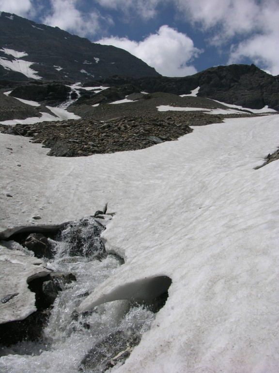 dscn2531.jpg