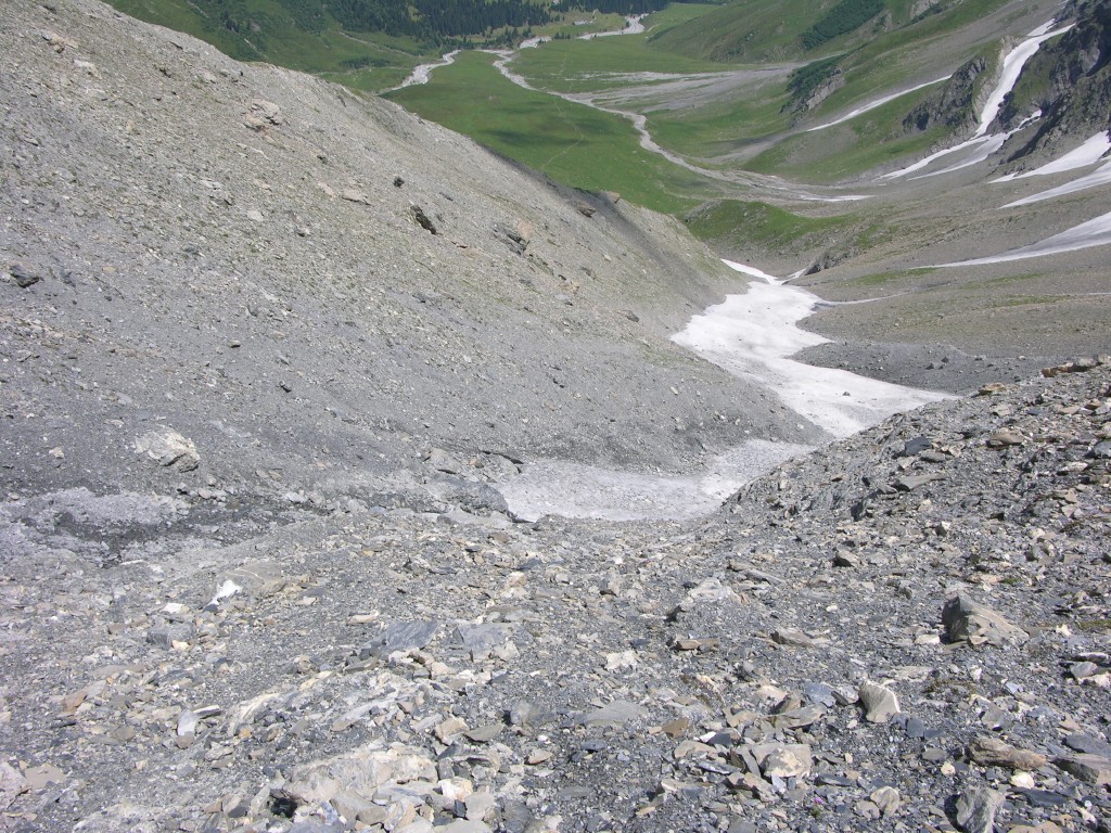 dscn2535.jpg