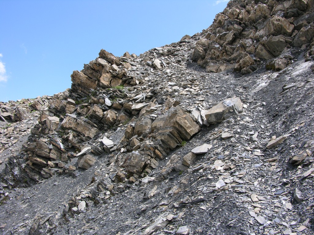 dscn2537.jpg