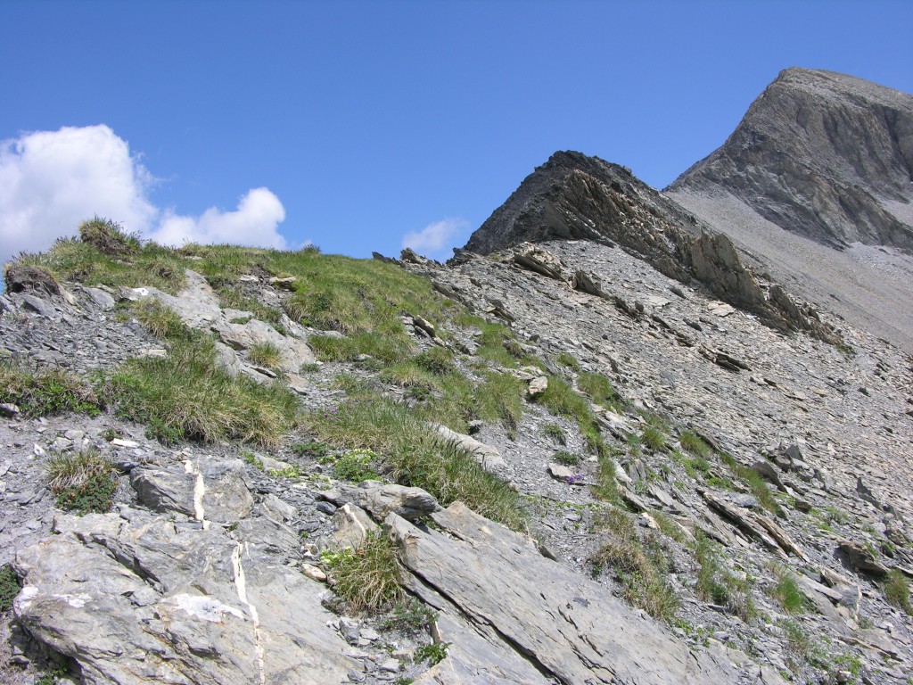 dscn2539.jpg