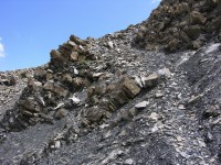 dscn2537.jpg