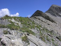 dscn2539.jpg