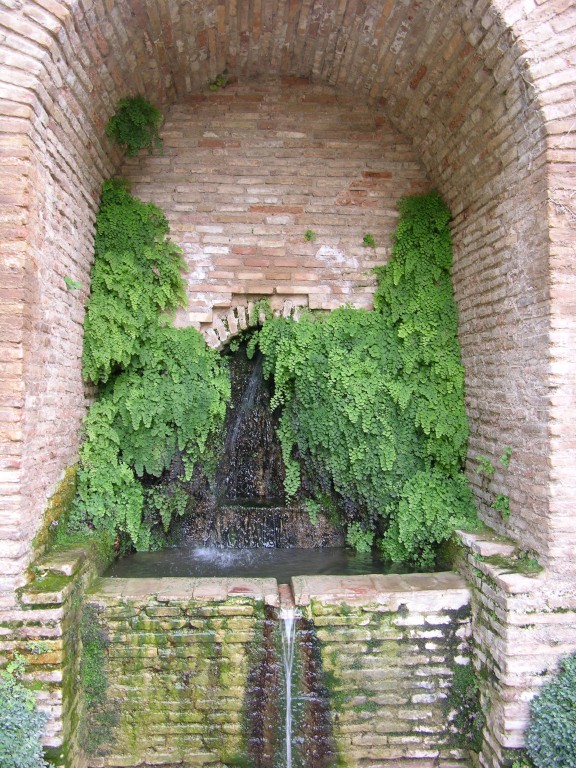 dscn0772.jpg