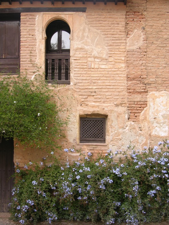 dscn0774.jpg