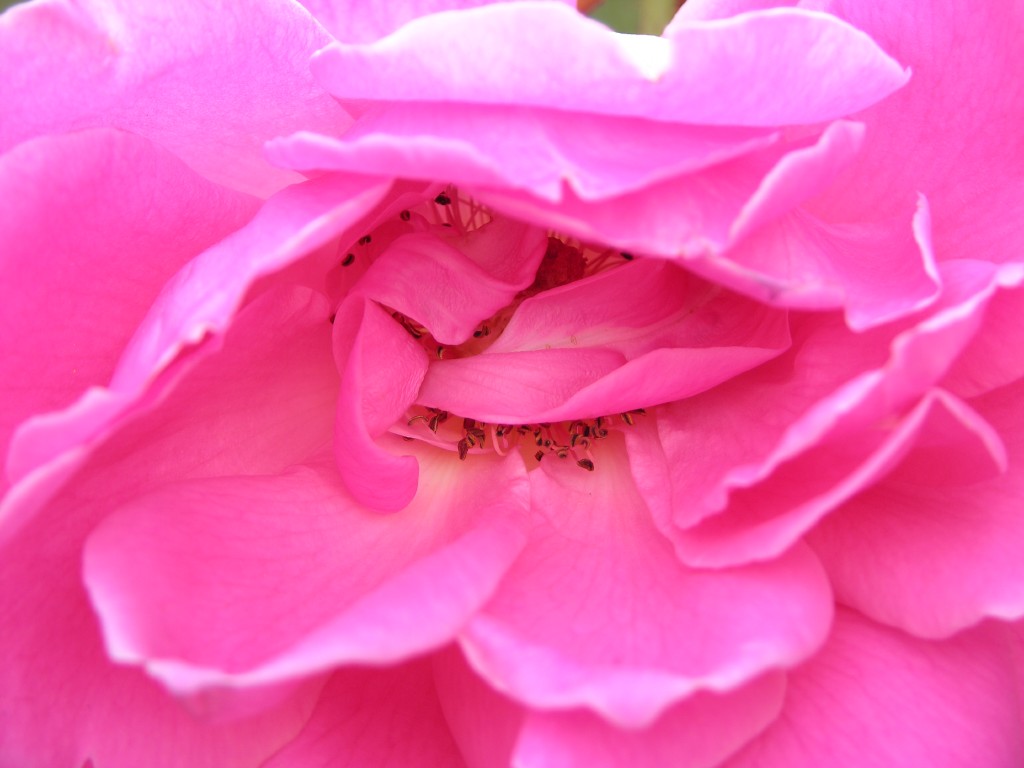 dscn0791.jpg